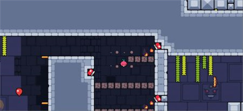 每日萝卜爸爸最新版下载  v1.0.34图3