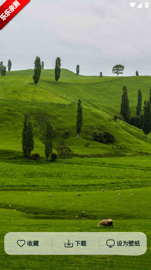 时刻壁纸手机版图5