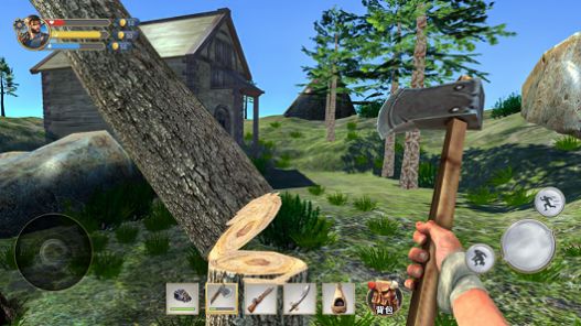 荒野求生野外生存游戏官方安卓版  v1.0图2