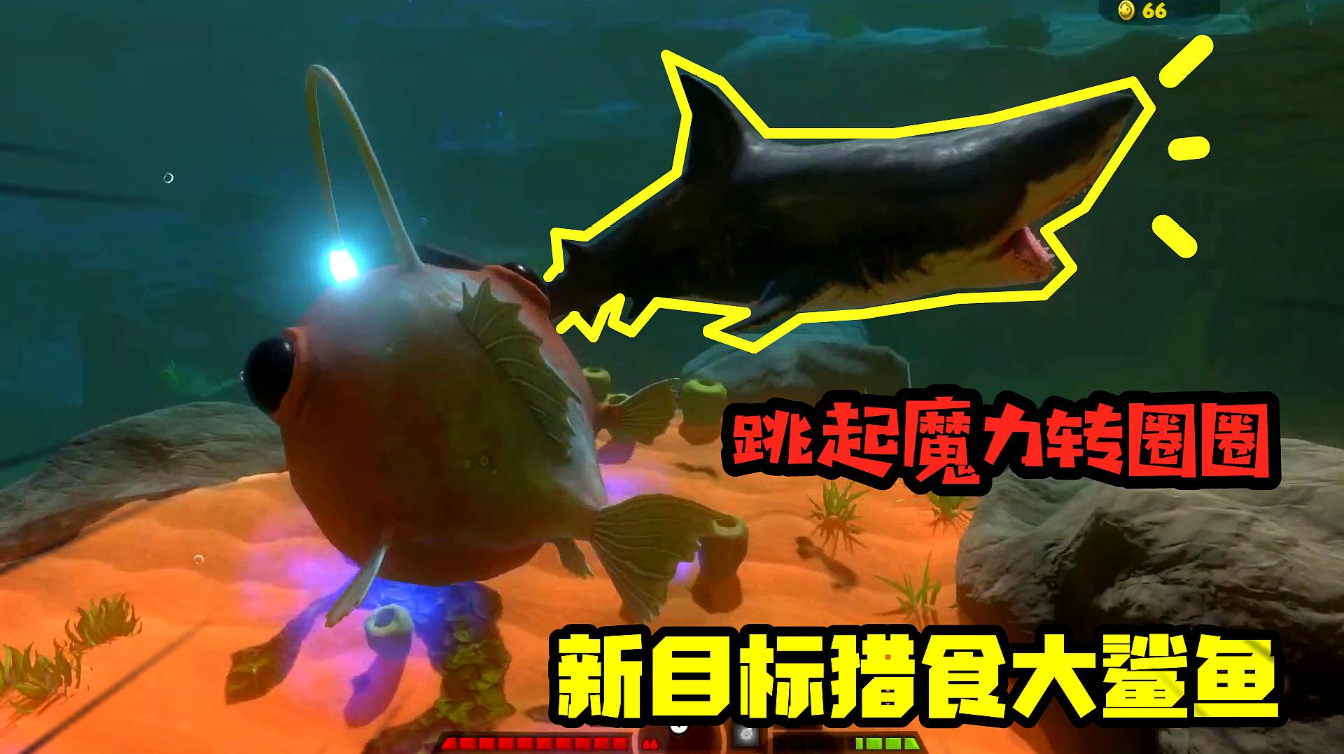 海底大求生合集