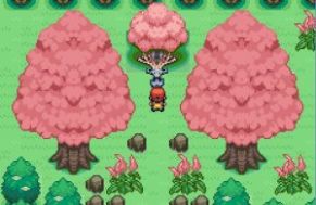 口袋妖怪梦的光点4.0最新汉化版下载  v4.8.6.6图4