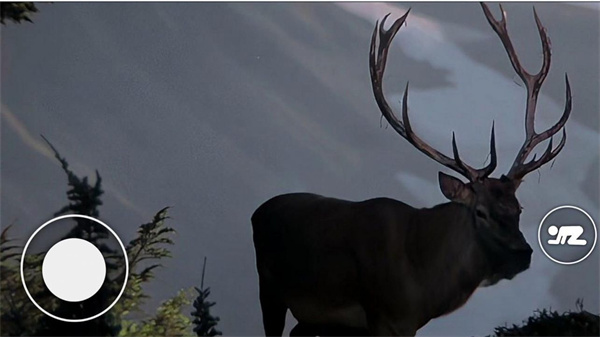 恐怖森林猎人图3