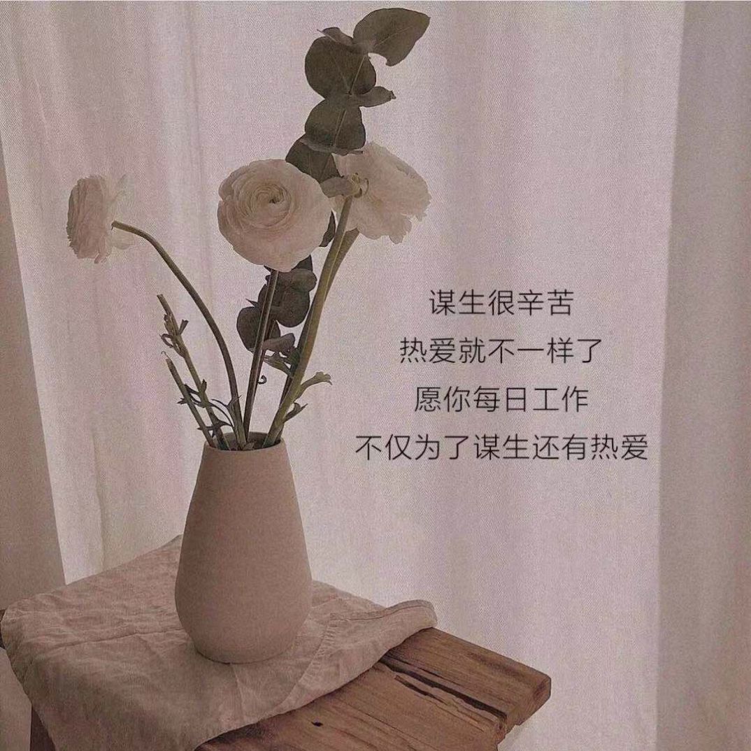 一岁一礼一寸一欢喜图片图2