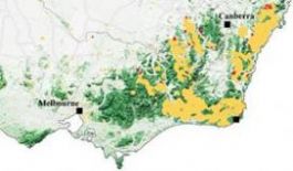 2021美赛a题思路图3