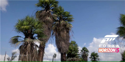 极限竞速地平线5手机版图2