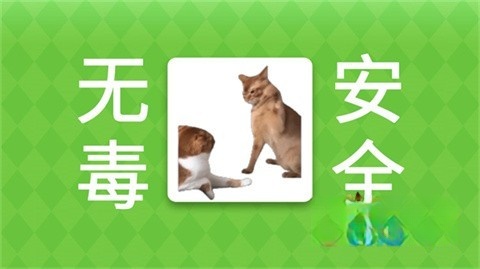 女巫的毒药猫meme版图5