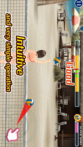 天堂沙滩：拍球与比基尼图3