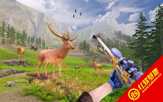 野鹿狩猎冒险游戏图2
