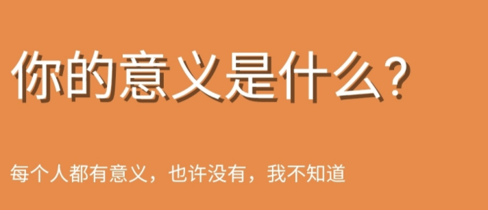 你的意义是什么鬼东西测试app合集