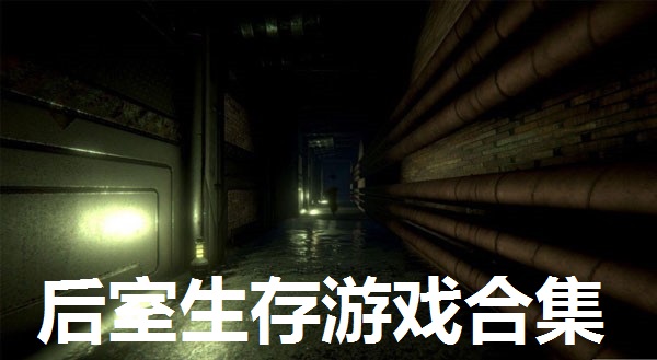 后室生存游戏合集