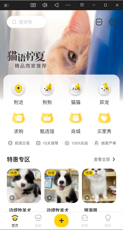 买只宠物安卓版图4