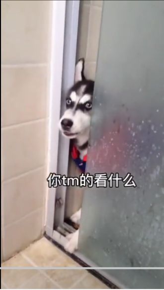 于和伟吐口水表情包图2