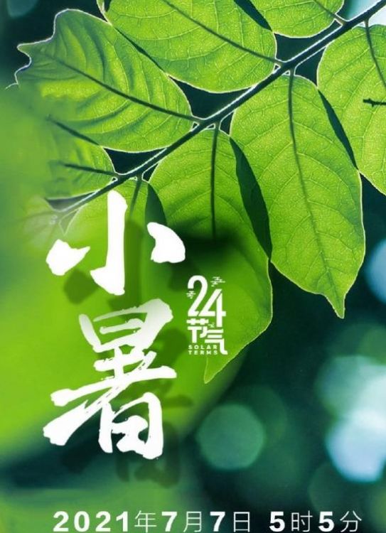 2021年小暑图片图1