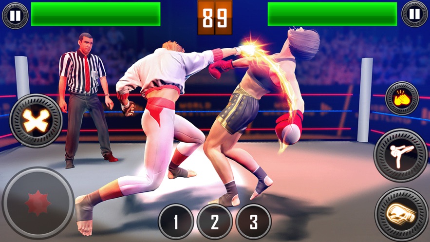 真正的摔跤革命游戏图2