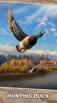 野生生存狩猎游戏图2