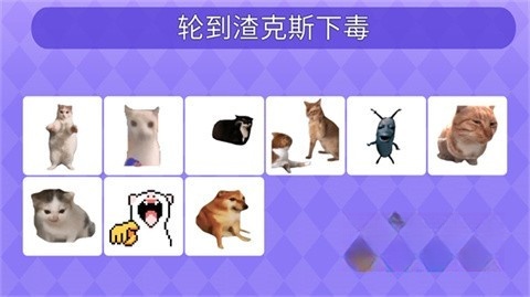 女巫的毒药猫meme版图4