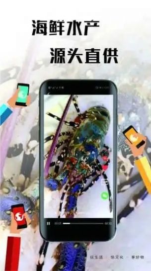 宾尊app图1