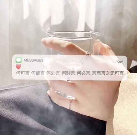 何可言,何能言,何处言,何时言,何必言,言而言之无可言图片图3