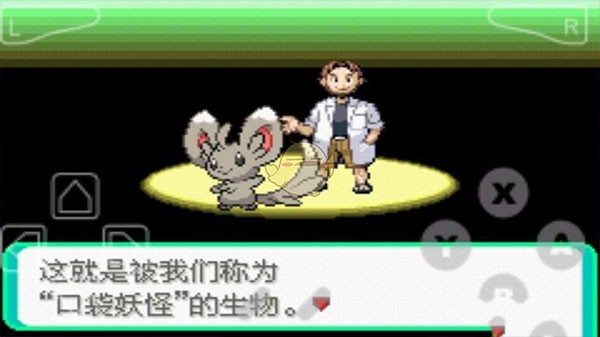 口袋妖怪漆黑的魅影版图2