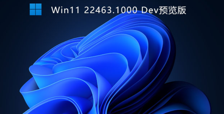 Windows 11 Build 22463.100正式版合集