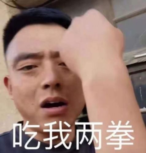 铁山靠邦邦两拳表情包动态图片图3