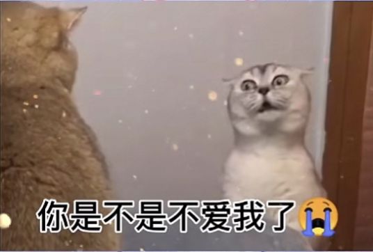 就知道早早早表情包图1