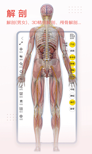 3DBody解剖软件图7