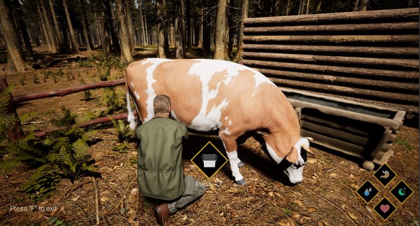 Wilderness游戏图2