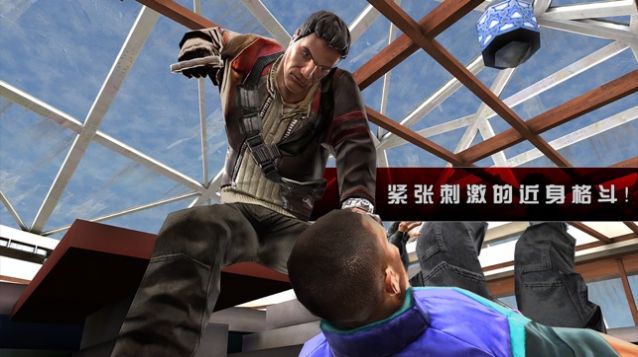 杀手2影子阴谋游戏图1