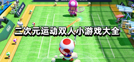 二次元运动双人小游戏大全