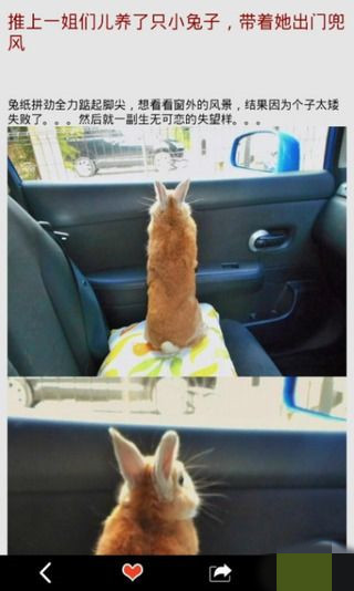 洋葱搞笑app最新手机版下载  v2.1.5图3