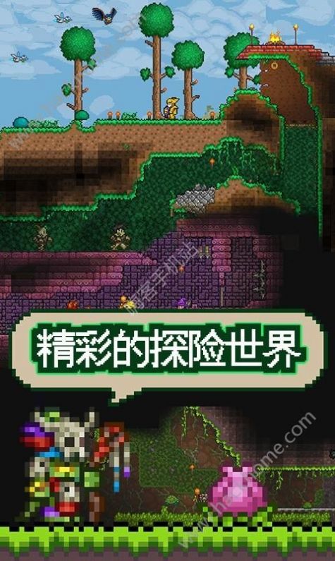 Terraria1.4wiki国际服最新安装包 v1.5.3.2图3