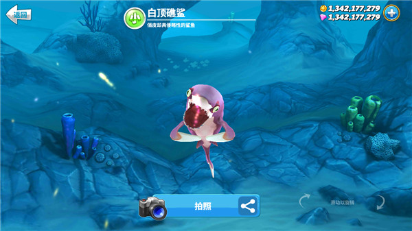 hungry shark老版图1