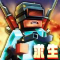 战场精英突击游戏