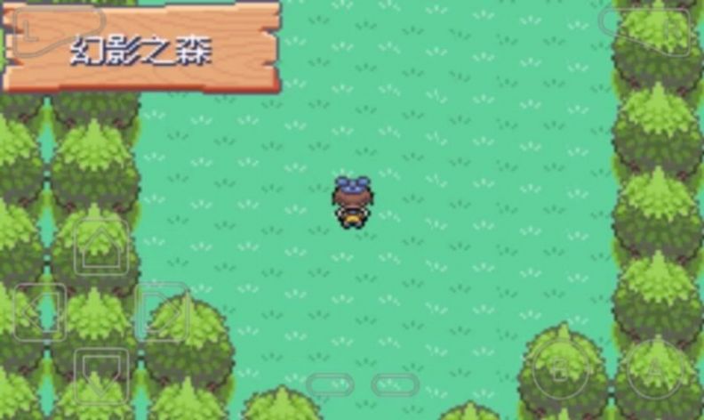 口袋妖怪漆黑的魅影6.0洁白游戏2021最新版下载  v4.8.6.6图1