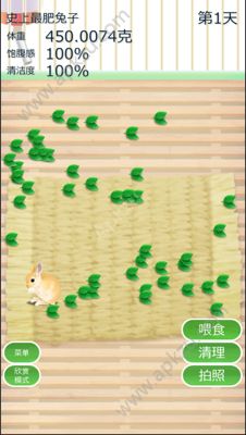 治愈兔兔养成汉化版图3