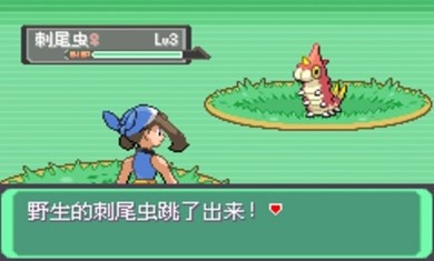 口袋妖怪漆黑的魅影dp版下载汉化安卓版  v2021.06.26.10图2