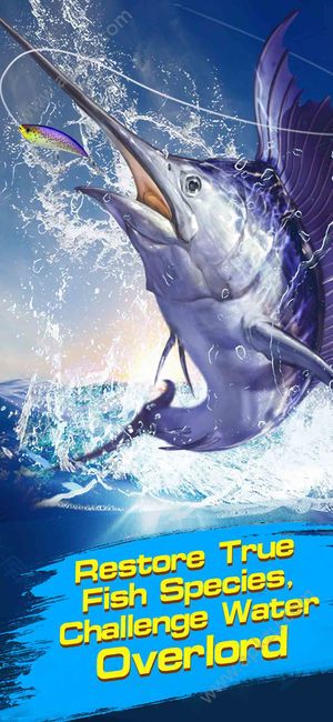 钓鱼锦标赛金币版（Fishing Championship）  v1.2.7图1