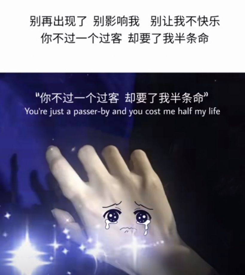 你不过是个过客,却要了我半条命表情包图4