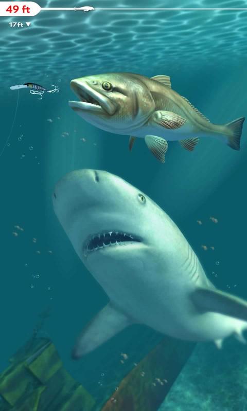 职业垂钓钓鱼日常金币安卓版  v1.0图4