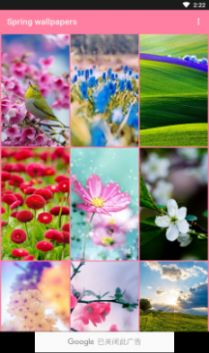 春季壁纸app图2