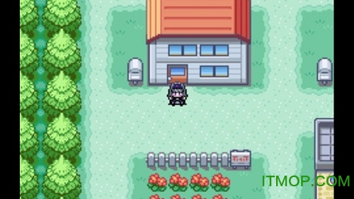 口袋妖怪火红叶绿手机版图4