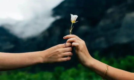 人多的社交软件合集