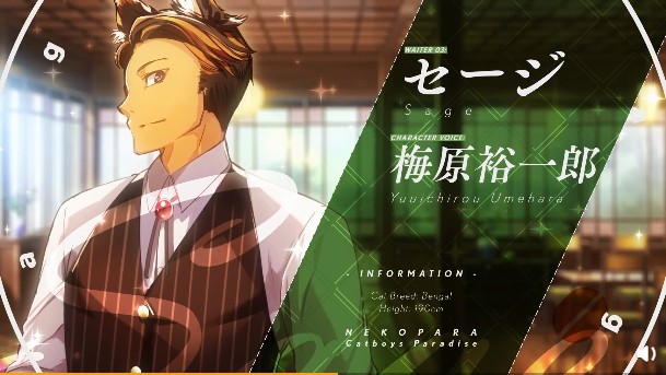 猫郎乐园游戏手机版  v1.1.0图2