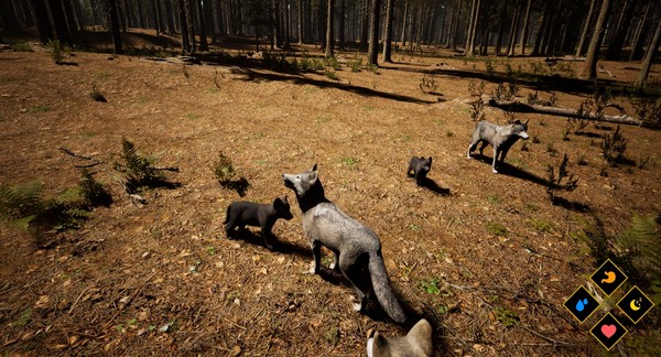 Wilderness游戏图3