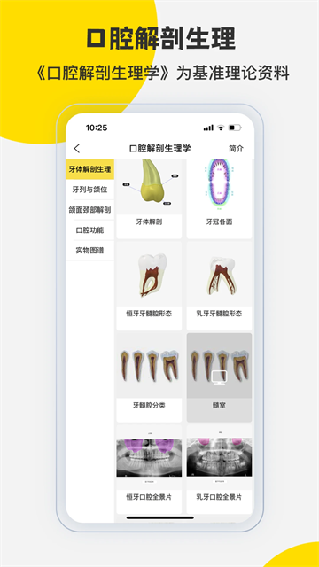 3DBody解剖学图1