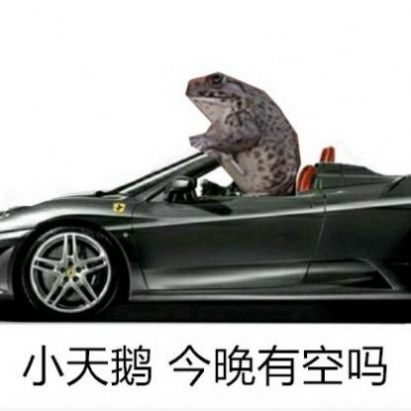 小天鹅出来解解馋表情包抖音表情图下载 v1.0图1