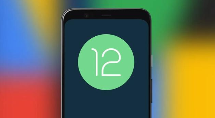 Android12开发者预览版系统官方版  v11.0图2