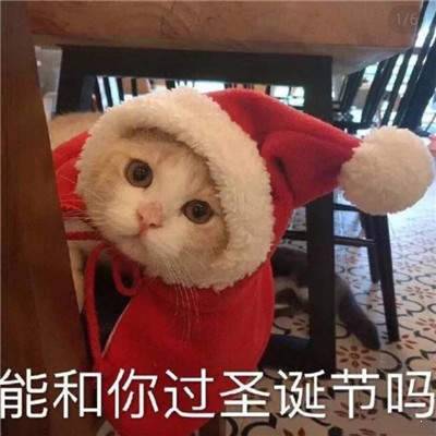 2020抖音圣诞节表情包动图图3