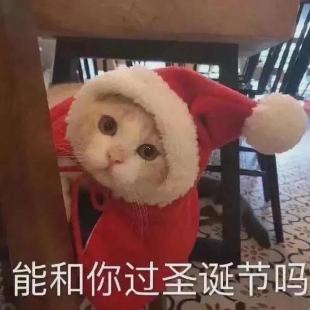 我可爱成这样做你的圣诞礼物好不好表情包图4